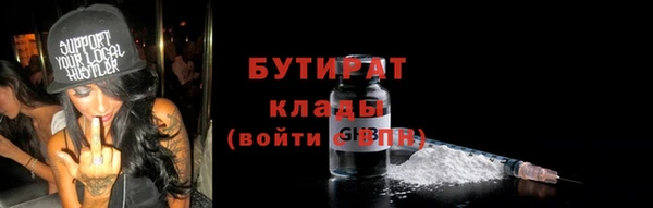 прущие грибы Иннополис