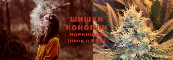 крисы Осинники