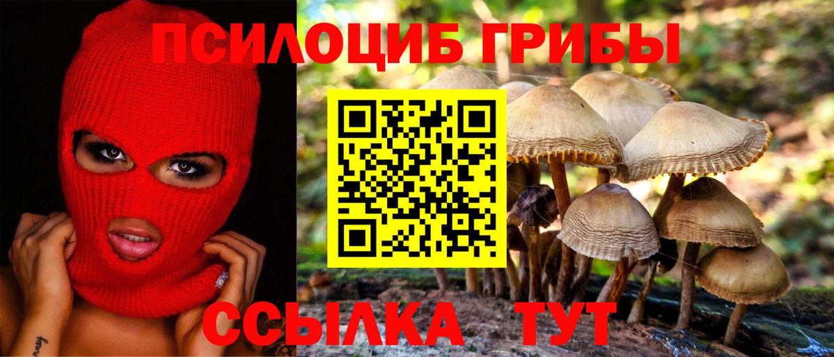 Псилоцибиновые грибы Magic Shrooms Саки